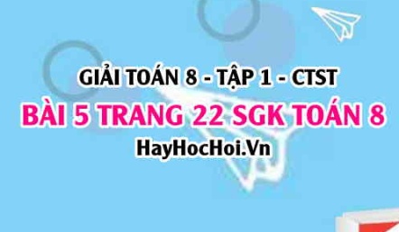 Giải bài 5 trang 22 Toán 8 Tập 1 SGK Chân trời sáng tạo